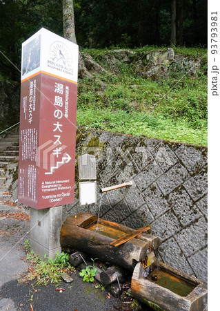 湯島の神水(湯島大スギの湧水)【山梨県早川町】 湯島の神水(湯島大スギの湧水)【山梨県早川町】 93793981