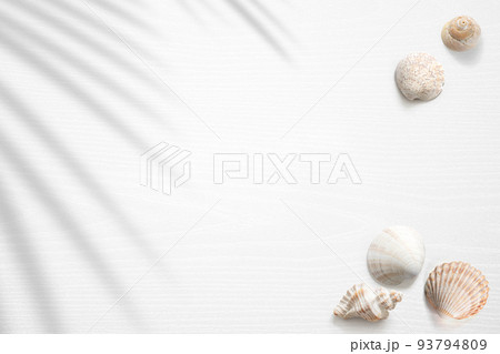 Summer scene with seashells and a palm shadow 93794809