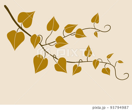 Simplicity ivy freehand drawing flat design. 93794987