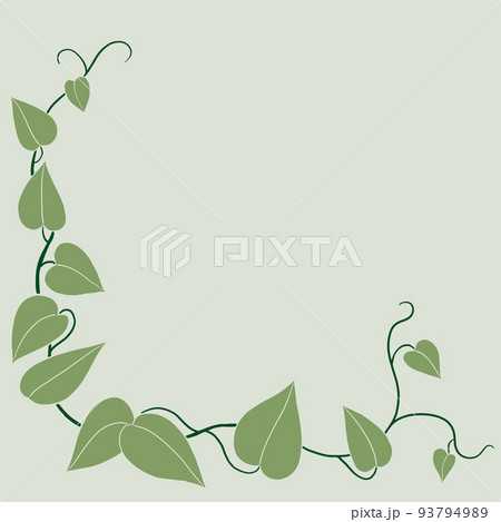 Simplicity ivy freehand drawing flat design. 93794989