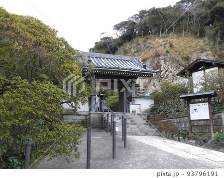 鎌倉市の安養院(山門付近) 鎌倉市の安養院(山門付近) 93796191