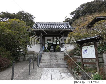 鎌倉市の安養院（山門付近） 93796193