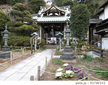 葉牡丹が彩りを添える鎌倉市の常栄寺（ぼたもち寺） 93796343