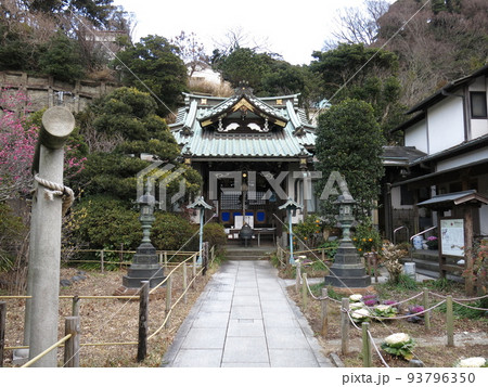紅梅や葉牡丹が彩りを添える鎌倉市の常栄寺（ぼたもち寺） 93796350