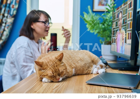Cat sleeping on desk in home office, woman making video call 93796639