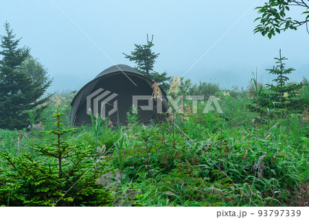 tourist tent among the vegetation in the foggy morning landscape tourist tent among the vegetation in the foggy morning landscape 93797339