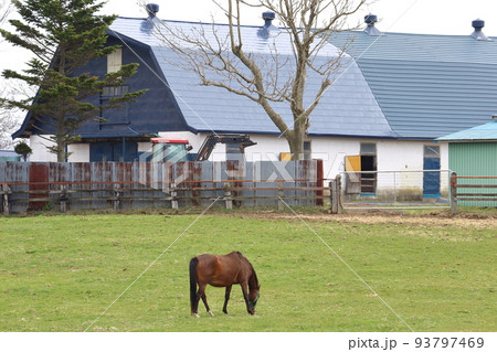 北海道　日高地方　牧場のある風景 93797469
