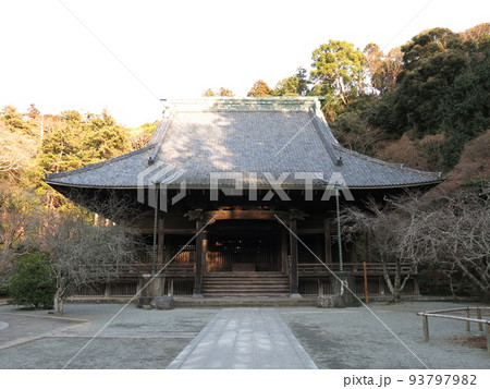 鎌倉市の妙本寺（祖師堂） 93797982