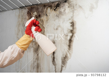 Man found mold on wall , in your residential building after renovation Man found mold on wall , in your residential building after renovation 93798132