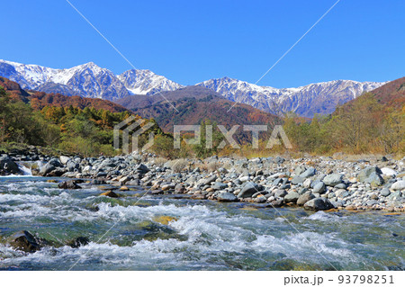 信州白馬　冠雪した白馬三山と三段染めの紅葉 93798251