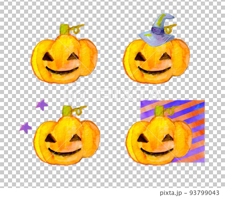 pumpkin pumpkin 93799043