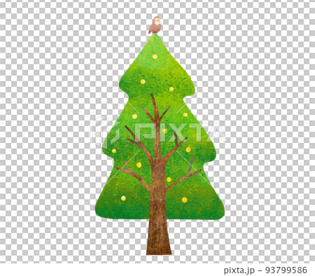 手繪北歐風格大雪松樹與黃色水果和貓頭鷹生態圖像的插圖白色背景材料 93799586