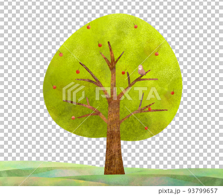 手描きの赤い実のある北欧風大きな木とフクロウーエコのイメージのイラスト白バック素材 手描きの赤い実のある北欧風大きな木とフクロウーエコのイメージのイラスト白バック素材 93799657