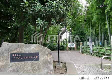 東京都目黒区立　すずめのお宿緑地公園　目黒区碑文谷三丁目　竹林散策　野鳥生息　令和年3年6月撮影 93800466