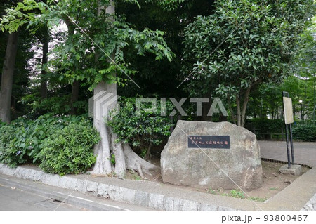 東京都目黒区立　すずめのお宿緑地公園　目黒区碑文谷三丁目　竹林散策　野鳥生息　令和年3年6月撮影 93800467