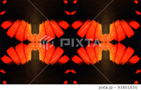 Red black geometric texture from butterfly wing Parides. For notebook covers, phone case, cards, print, ceramics, carpets, textile. Ornamental Decorative Kaleidoscope Abstract Paint Art Red black geometric texture from butterfly wing Parides. For notebook covers, phone case, cards, print, ceramics, carpets, textile. Ornamental Decorative Kaleidoscope Abstract Paint Art 93801650