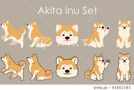 シンプルで可愛い秋田犬のイラストセット 主線ありと主線なしのイラスト素材