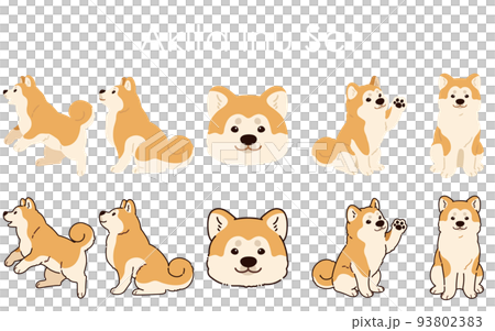 シンプルで可愛い秋田犬のイラストセット　主線ありと主線なし 93802383