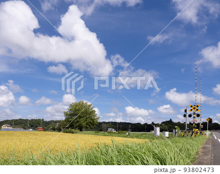 千葉県市原久保の9月の田園 93802473