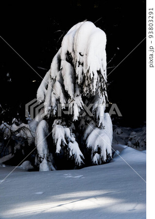 小さなモンスター 93803291