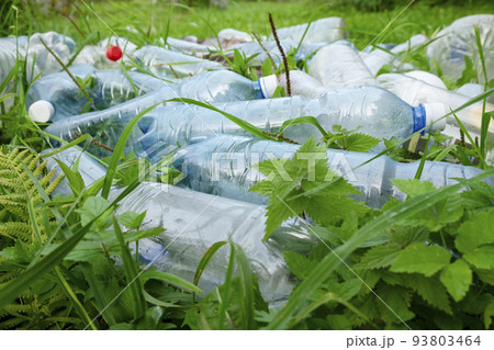 Plastic bottles are scattered in the grass. Environmental pollution. plastic trash 93803464