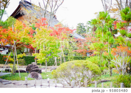 寺の庭 93803480