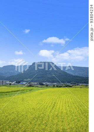 玖珠盆地の水田と伐株山 93804234