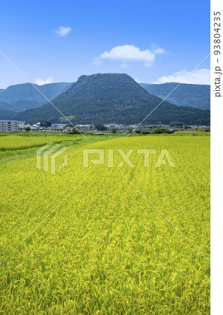 玖珠盆地の水田と伐株山 93804235