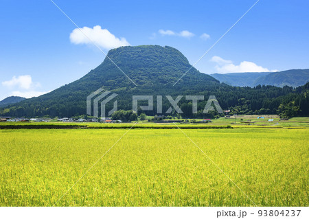 玖珠盆地の水田と伐株山 93804237