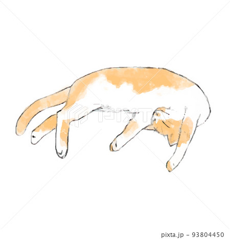 【12/4までお取置き】元ねこてんページ/手描きイラスト da61984b90111a00543d2815a4caad