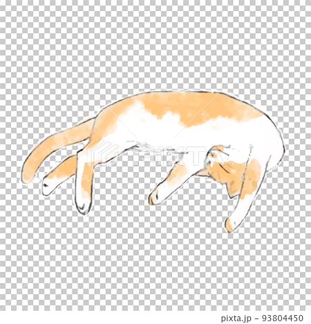 寝転がる猫の手描きイラスト 93804450