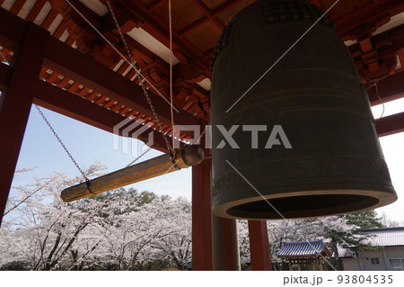 蓼科山 聖光寺(たてしなさん しょうこうじ)「本州で最も遅いソメイヨシノ」が見られる桜の名所である 蓼科山 聖光寺(たてしなさん しょうこうじ)「本州で最も遅いソメイヨシノ」が見られる桜の名所である 93804535