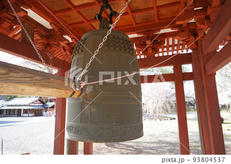 蓼科山 聖光寺（たてしなさん しょうこうじ）「本州で最も遅いソメイヨシノ」が見られる桜の名所である 93804537