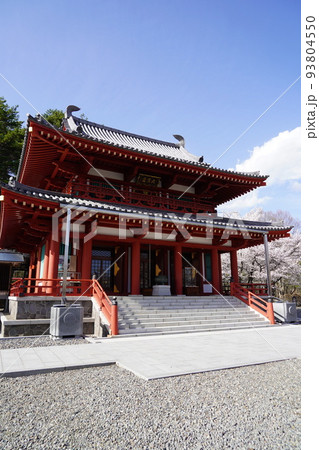 蓼科山 聖光寺(たてしなさん しょうこうじ)「本州で最も遅いソメイヨシノ」が見られる桜の名所である 蓼科山 聖光寺(たてしなさん しょうこうじ)「本州で最も遅いソメイヨシノ」が見られる桜の名所である 93804550