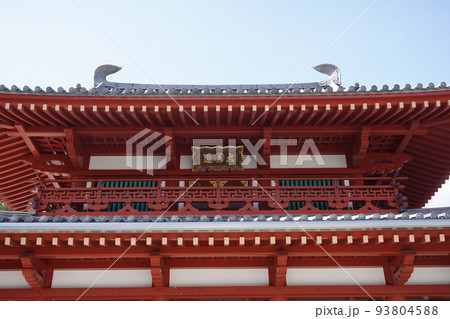 蓼科山 聖光寺（たてしなさん しょうこうじ）「本州で最も遅いソメイヨシノ」が見られる桜の名所である 93804588