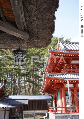 蓼科山 聖光寺(たてしなさん しょうこうじ)「本州で最も遅いソメイヨシノ」が見られる桜の名所である 蓼科山 聖光寺(たてしなさん しょうこうじ)「本州で最も遅いソメイヨシノ」が見られる桜の名所である 93804591