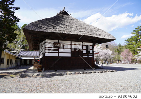 蓼科山 聖光寺（たてしなさん しょうこうじ）「本州で最も遅いソメイヨシノ」が見られる桜の名所である 93804602