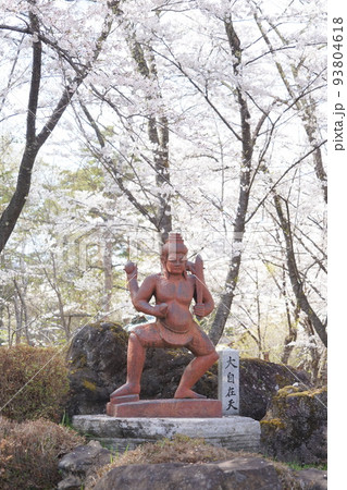 蓼科山 聖光寺（たてしなさん しょうこうじ）「本州で最も遅いソメイヨシノ」が見られる桜の名所である 93804618