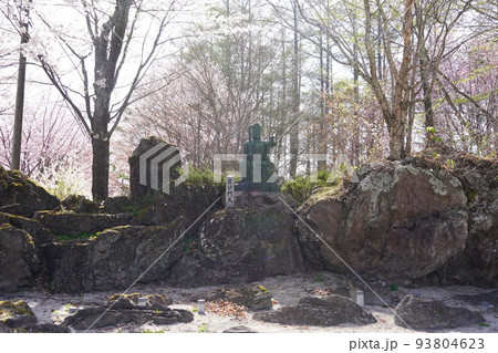 蓼科山 聖光寺（たてしなさん しょうこうじ）「本州で最も遅いソメイヨシノ」が見られる桜の名所である 93804623