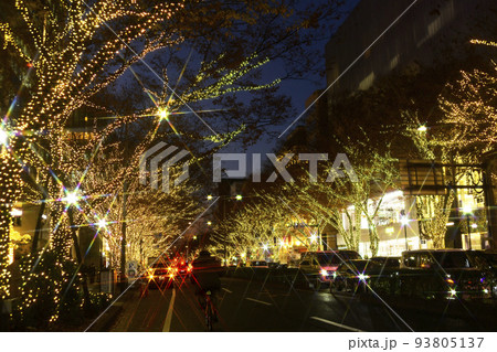 原宿・表参道・青山クリスマスイルミネーション 原宿・表参道・青山クリスマスイルミネーション 93805137