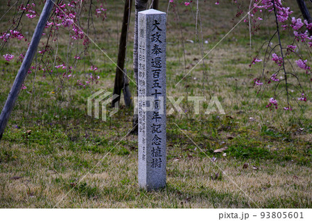 世界遺産　本離宮二条城　大政奉還百五十周年記念植樹の記念碑 93805601