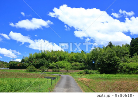 夏の田園風景 93806187