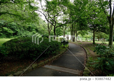 久良岐公園（くらきこうえん）　横浜市港南区～磯子区   中央付近に池   散策路 雑木林　令和3年5 93807482