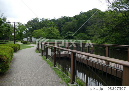 久良岐公園(くらきこうえん) 横浜市港南区~磯子区 池 散策路 雑木林 令和3年5月 久良岐公園(くらきこうえん) 横浜市港南区~磯子区 池 散策路 雑木林 令和3年5月 93807507
