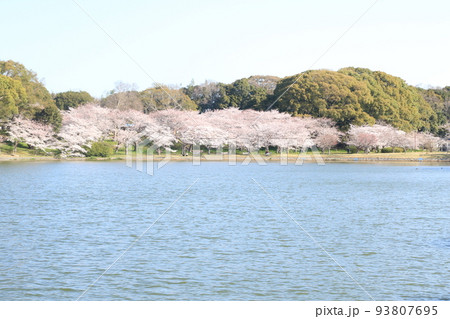 明石公園 93807695