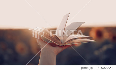 Woman flips through pages of old paper book on sunset background in sunflowers field. Aesthetics 93807721