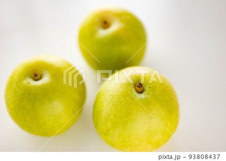 秋の味覚20世紀梨 93808437