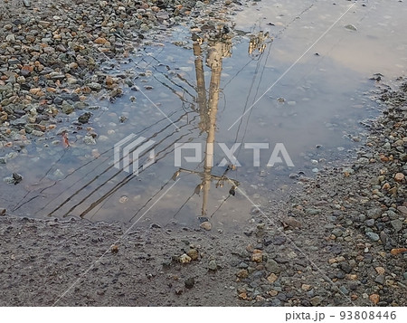 水たまりに映る青空と電柱 93808446