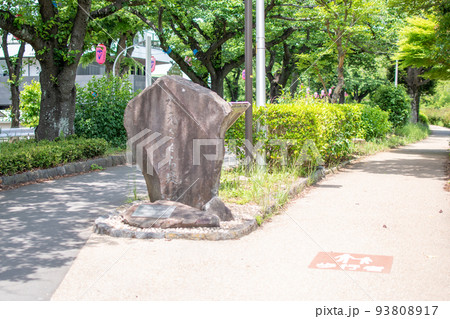 水元公園 水元内溜水辺のみち/東京都葛飾区 水元公園 水元内溜水辺のみち/東京都葛飾区 93808917