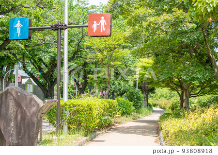 水元公園 水元内溜水辺のみち/東京都葛飾区 水元公園 水元内溜水辺のみち/東京都葛飾区 93808918